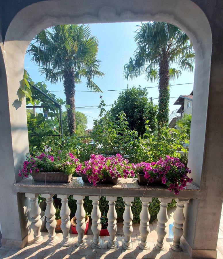 Marinici  Apartman Palma מראה חיצוני תמונה